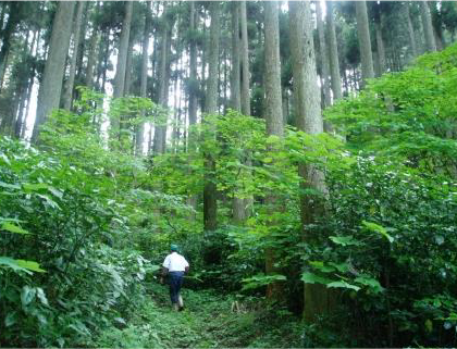 高森町／南郷檜エキスを利用したリップづくり体験コース